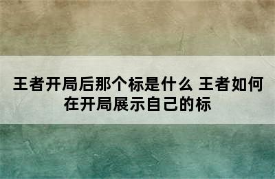 王者开局后那个标是什么 王者如何在开局展示自己的标